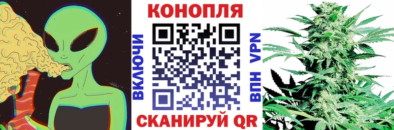 Марихуана Bruce Banner  Купить закладки  Торжок 